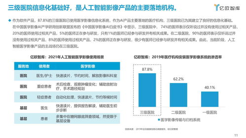 2021年人工智能醫(yī)學(xué)影像企業(yè)發(fā)展報(bào)告 聚焦人工智能基礎(chǔ)軟件開(kāi)發(fā)